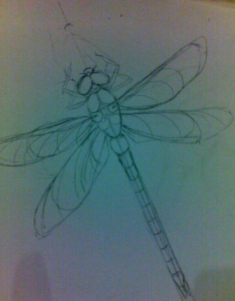 Creation of Dragonfly: Step 2